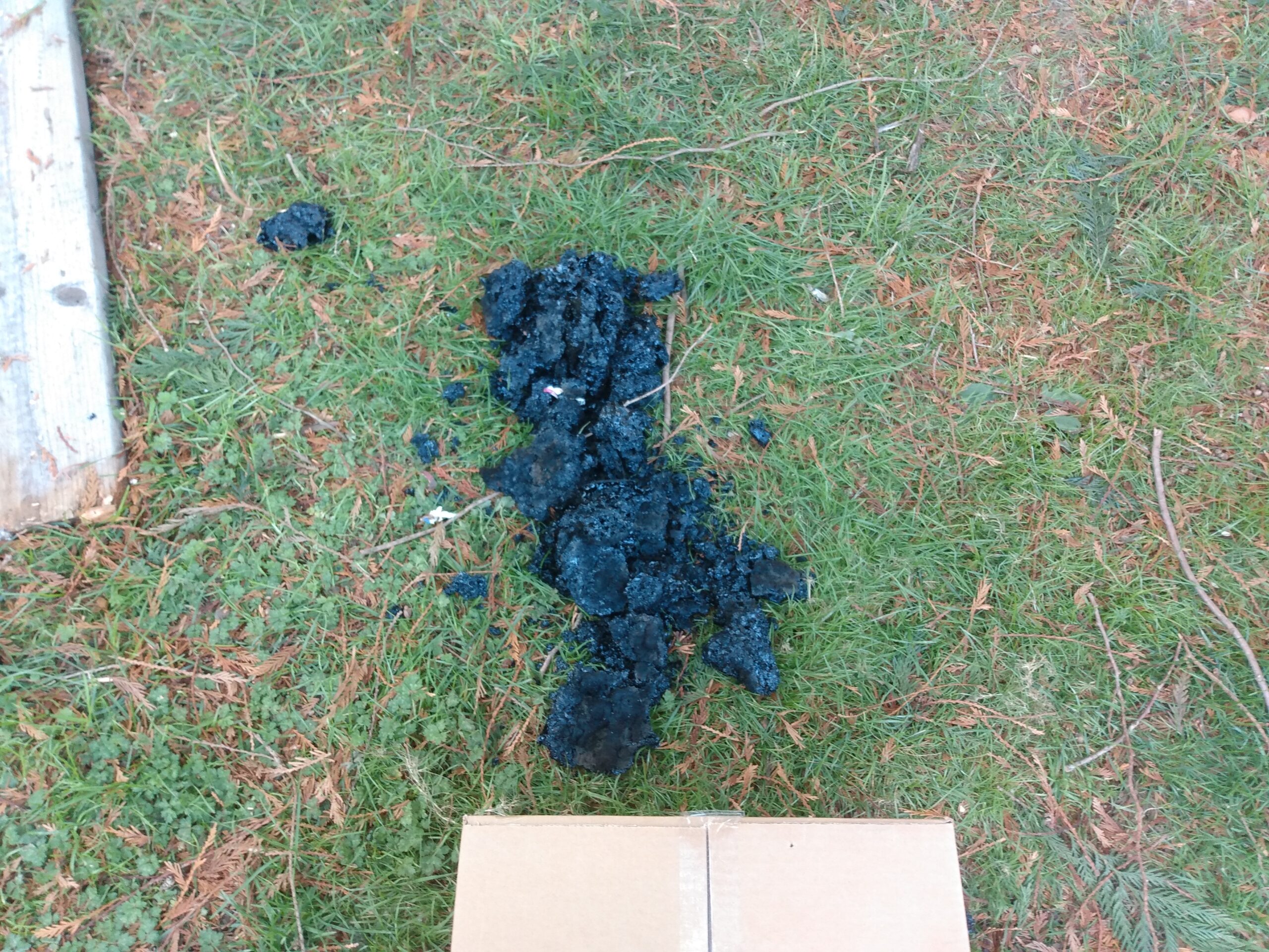 IMG_20221121_131910920 Woodstove fireplace insert removal for chimney cleaning. Portland Oregon.